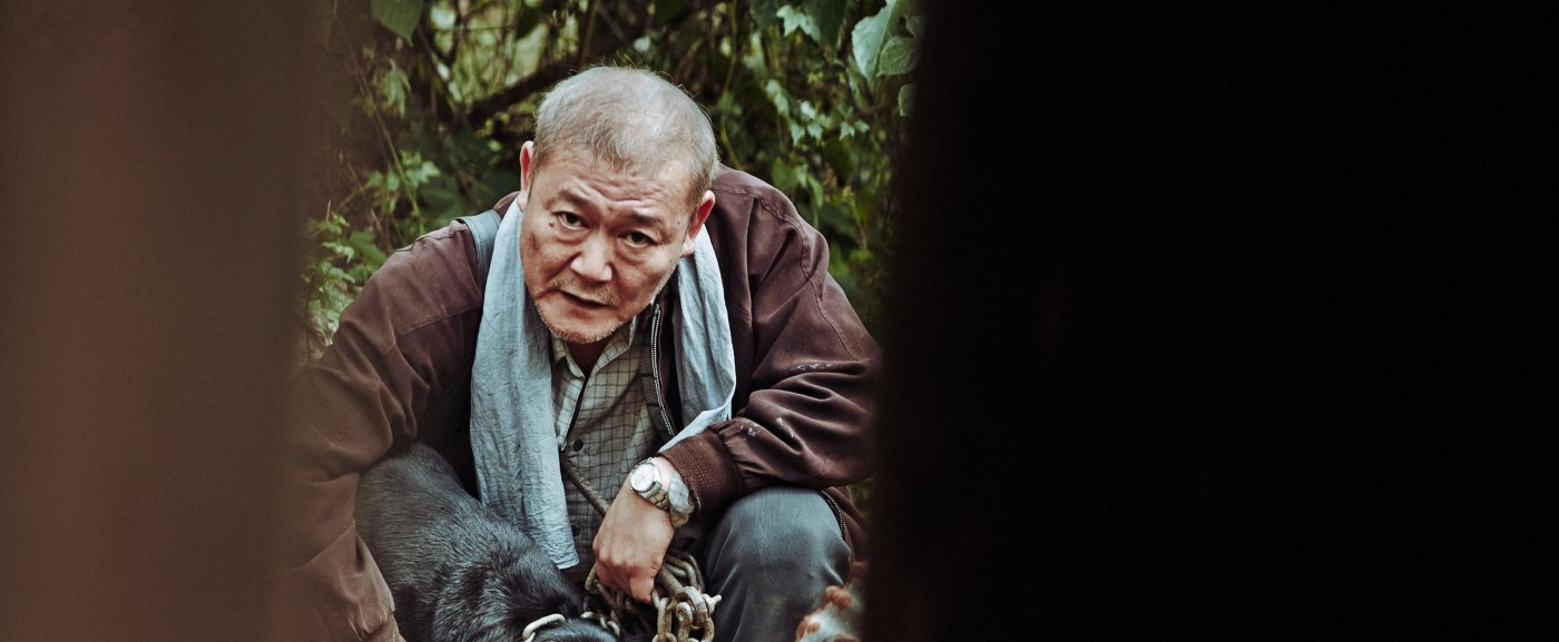 Le patate o i carciofi? Eurobond o MES? “The Wailing” o “Goksung”?
